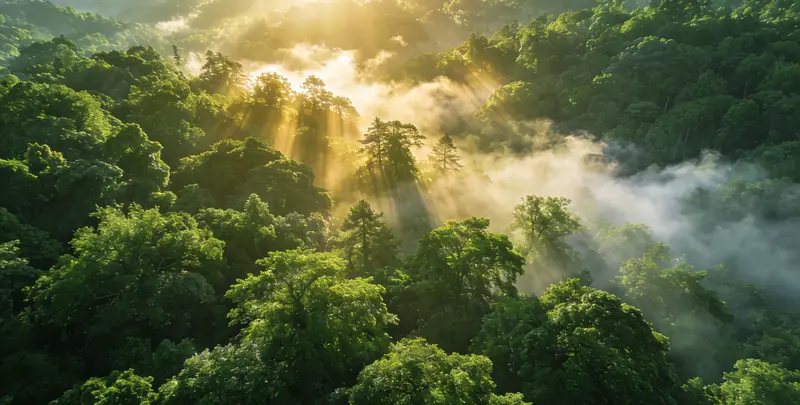 吴忠肺癌11基因检测组织版图片1