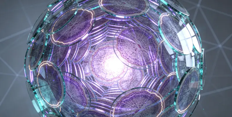 1+4 实体瘤定制化MRD基因检测图4